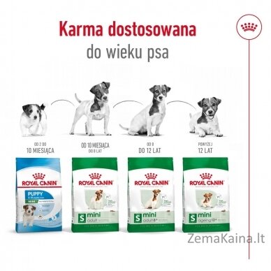 Royal Canin Mini Ageing 12+ Adult Sausas šunų maistas 3,5 kg 7