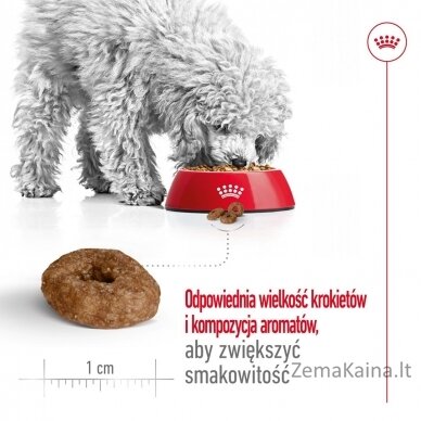 Royal Canin Mini Ageing 12+ Adult Sausas šunų maistas 3,5 kg 8