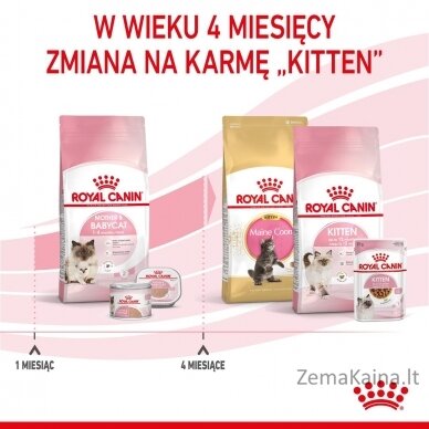 Royal Canin Mother & Babycat 34 sausas kačių maistas 0,4 kg 11