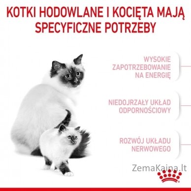 Royal Canin Mother & Babycat 34 sausas kačių maistas 0,4 kg 5