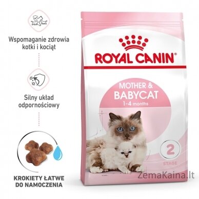 Royal Canin Mother & Babycat 34 sausas kačių maistas 0,4 kg 8