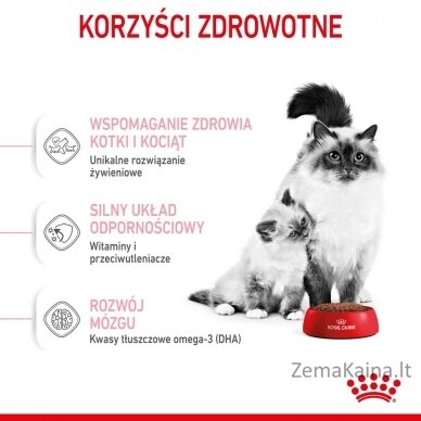 Royal Canin Mother & Babycat 34 sausas kačių maistas 0,4 kg 7