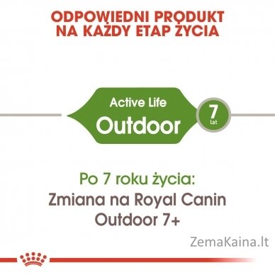 Royal Canin Outdoor sausas kačių maistas 2 kg 4