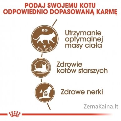 Royal Canin Senior Ageing Sterilised 12+ sausas kačių ėdalas Kukurūzai, paukštiena, daržovės 2 kg 8