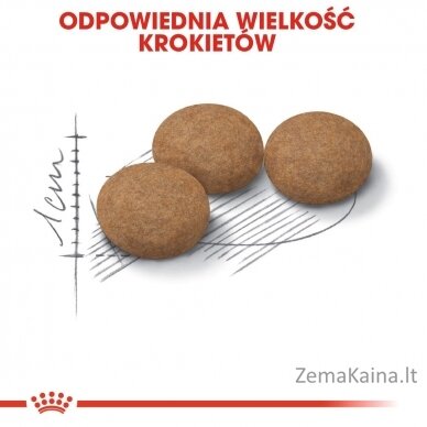 Royal Canin Senior Ageing Sterilised 12+ sausas kačių ėdalas Kukurūzai, paukštiena, daržovės 2 kg 5