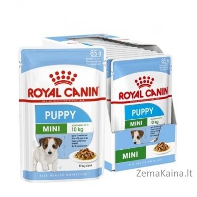 ROYAL CANIN SHN Mini Puppy in sauce - drėgnas maistas šuniukams - 12X85g