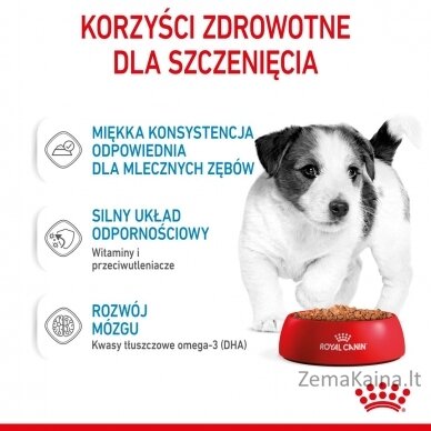 ROYAL CANIN SHN Mini Puppy in sauce - drėgnas maistas šuniukams - 12X85g 11