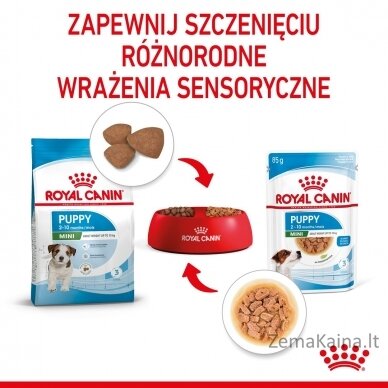 ROYAL CANIN SHN Mini Puppy in sauce - drėgnas maistas šuniukams - 12X85g 4