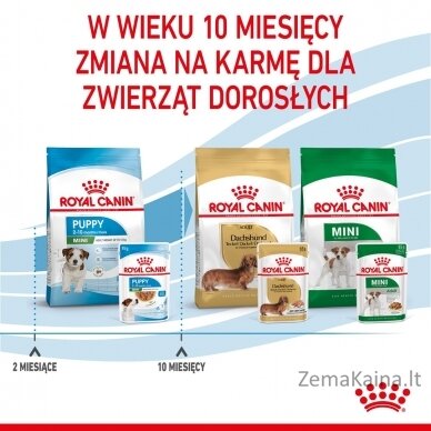 ROYAL CANIN SHN Mini Puppy in sauce - drėgnas maistas šuniukams - 12X85g 13