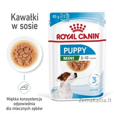 ROYAL CANIN SHN Mini Puppy in sauce - drėgnas maistas šuniukams - 12X85g 6