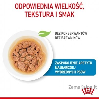 ROYAL CANIN SHN Mini Puppy in sauce - drėgnas maistas šuniukams - 12X85g 7