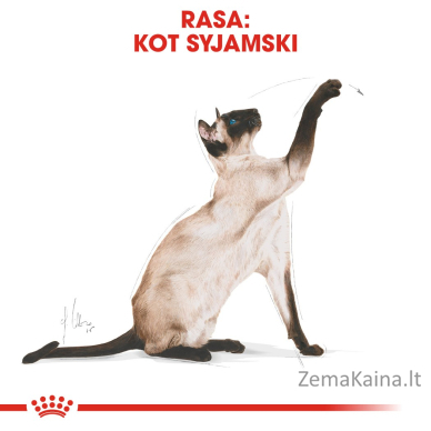 Royal Canin Siamese sausas kačių maistas Suaugusių Paukštiena 2 kg 5