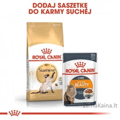 Royal Canin Siamese sausas kačių maistas Suaugusių Paukštiena 2 kg 6