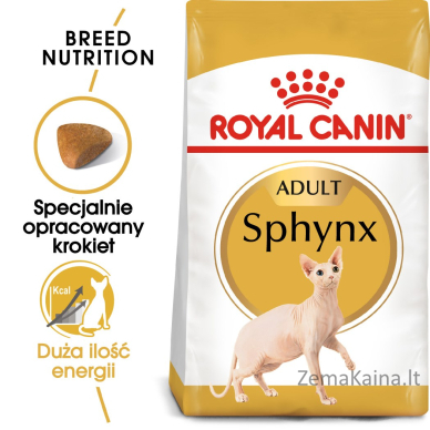 Royal Canin Sphynx sausas kačių maistas 2 kg 10