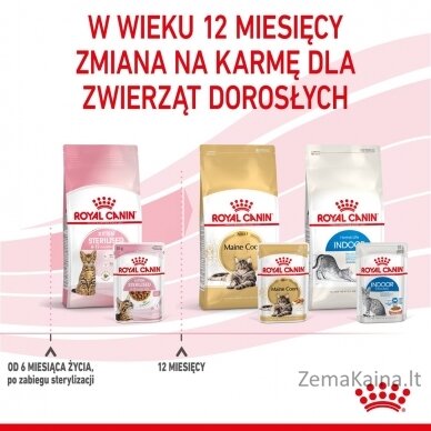 Royal Canin Sterilised Gravy 12x85g 9