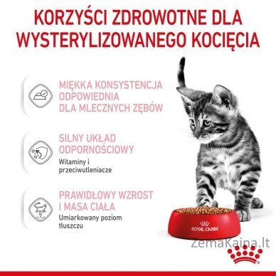 Royal Canin Sterilised Gravy 12x85g 5