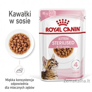 Royal Canin Sterilised Gravy 12x85g 3