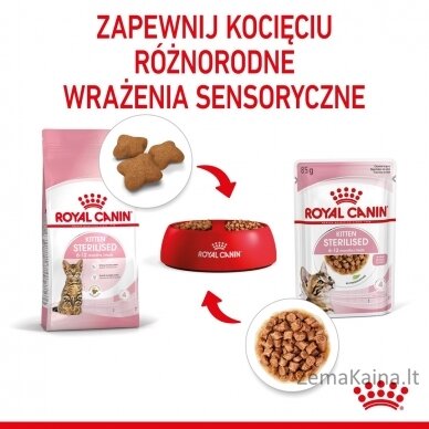 Royal Canin Sterilised Gravy 12x85g 4