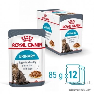 ROYAL CANIN Urinary Care in Gravy 12x85g 5