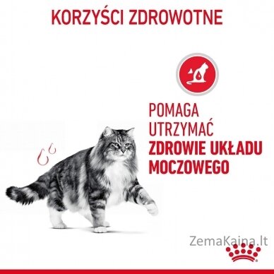 Royal Canin Urinary Care sausas kačių maistas Suaugusių Paukštiena 2 kg 4