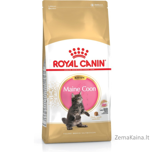 Royal Canin Maine Coon Kitten sausas kačių maistas Kačiukas Paukštiena, Ryžiai 400 g