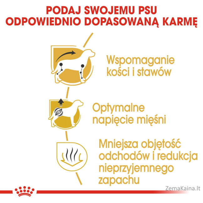 Royal Canin BHN Dachshund Adult - sausas pašaras suaugusiems šunims - 1,5 kg 5