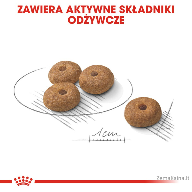 Royal Canin CCN MINI STERILISED - sausas ėdalas suaugusiems šunims - 8kg 2