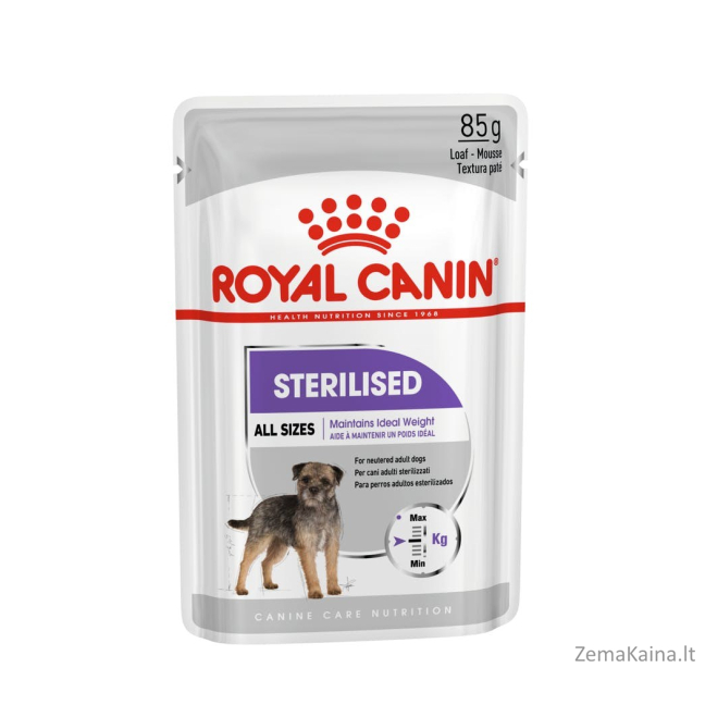 Royal Canin CCN Sterilised Loaf - drėgnas maistas suaugusiems šunims - 12x85g 1