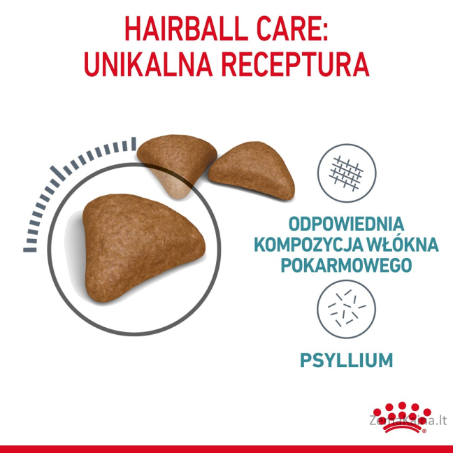 Royal Canin Hairball Care sausas kačių maistas 10 kg Adult Kukurūzas, Paukštiena, Ryžiai, Daržovių 4
