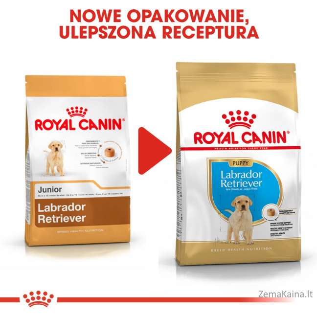 Royal Canin Labrador Retriever Junior Šuniukas Geltona, Paukštiena, Ryžiai 12 kg 7