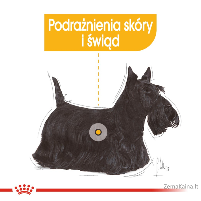 ROYAL CANIN Mini Dermacomfort -  sausas ėdalas suaugusiems mažų veislių šunims, kurių oda jautri ir linkusi dirginti - 3kg 2