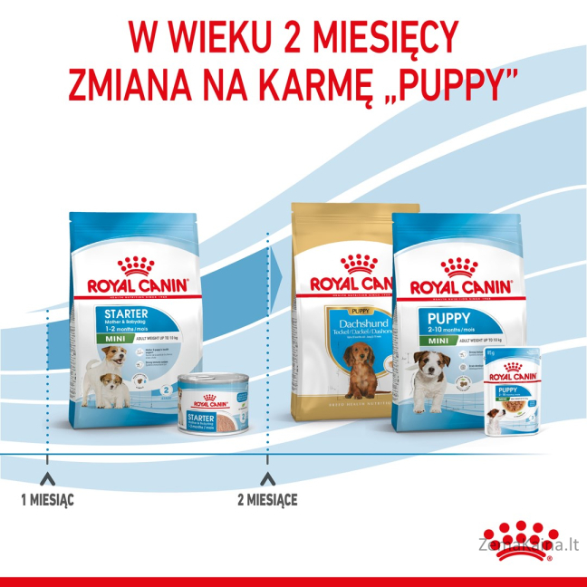 Royal Canin Mini Starter Mother & Babydog Suaugusiųjų Paukštiena 1 kg 6
