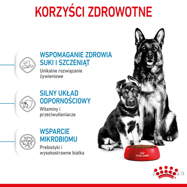 Royal Canin SHN Maxi Starter M&B 4kg 2