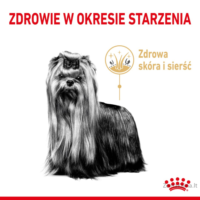 Royal Canin Yorkshire Ageing 8+ - sausas ėdalas vyresnio amžiaus šunims - 3kg 2