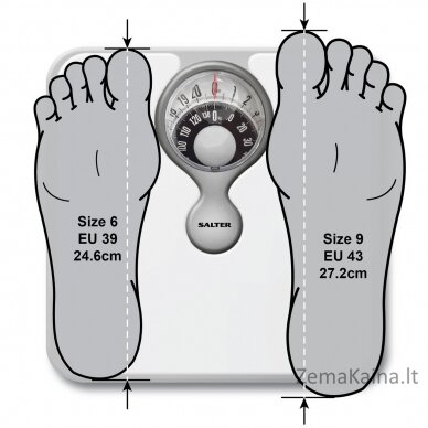 Salter 484 WHDRFEU16 Magnifying Lens Mechanical Bathroom Scale 1