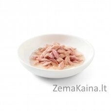 SCHESIR in jelly Tuna - šlapias kačių maistas - 6 x 50 g