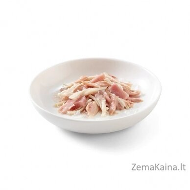 SCHESIR in jelly Tuna and chicken with ham - šlapias kačių maistas - 85 g 1