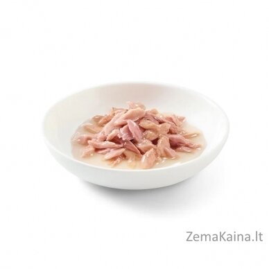 SCHESIR in jelly Tuna - šlapias kačių maistas - 6 x 50 g 1