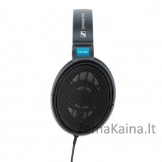 Sennheiser HD 600 Ausinės Su lankeliu 3,5 mm jungtis Juoda, Pilka