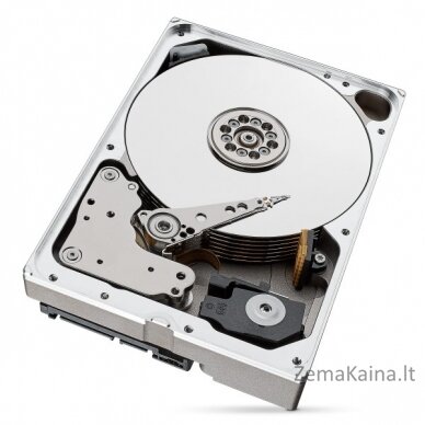 Seagate IronWolf Pro ST10000NT001 vidinis kietasis diskas 3.5" 10000 GB 4