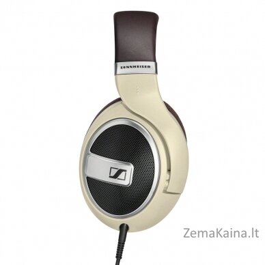 Sennheiser HD 599 Ausinės Su lankeliu Ruda, Dramblio kaulo 2