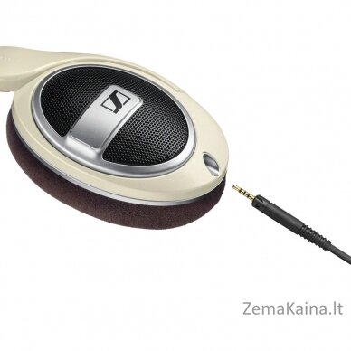 Sennheiser HD 599 Ausinės Su lankeliu Ruda, Dramblio kaulo 3