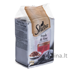 Sheba Fresh & Fine Mini Meat Dishes in Sauce 6 x 50g