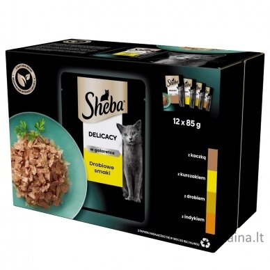 Sheba Delicacy in Jelly Chicken Flavours 12 x 85 g 13