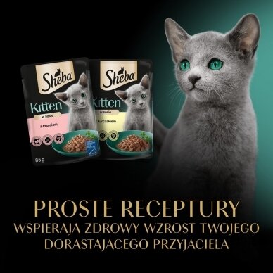 SHEBA Kitten skonių pasirinkimas padaže - šlapias kačių maistas - 40x85 g 11