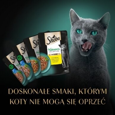 SHEBA Nature's mix smaków w sosie saszetki dla kota40x85g 10