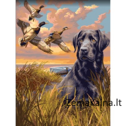 Tapymas pagal skaičius Hunter 40x50 cm H078