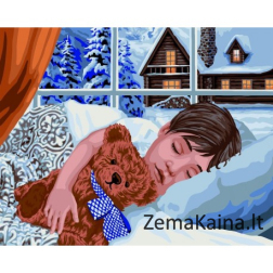 Tapymas pagal skaičius Winter Sleep 40x50 cm L032