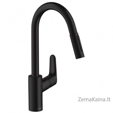 Virtuvinis maišytuvas Hansgrohe Focus M41 31815670