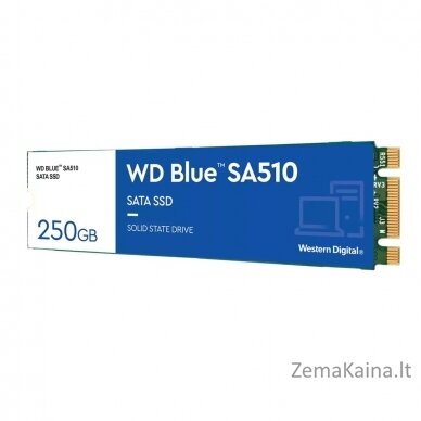 Western Digital Blue SA510 M.2 250 GB „Serial ATA III“ 6